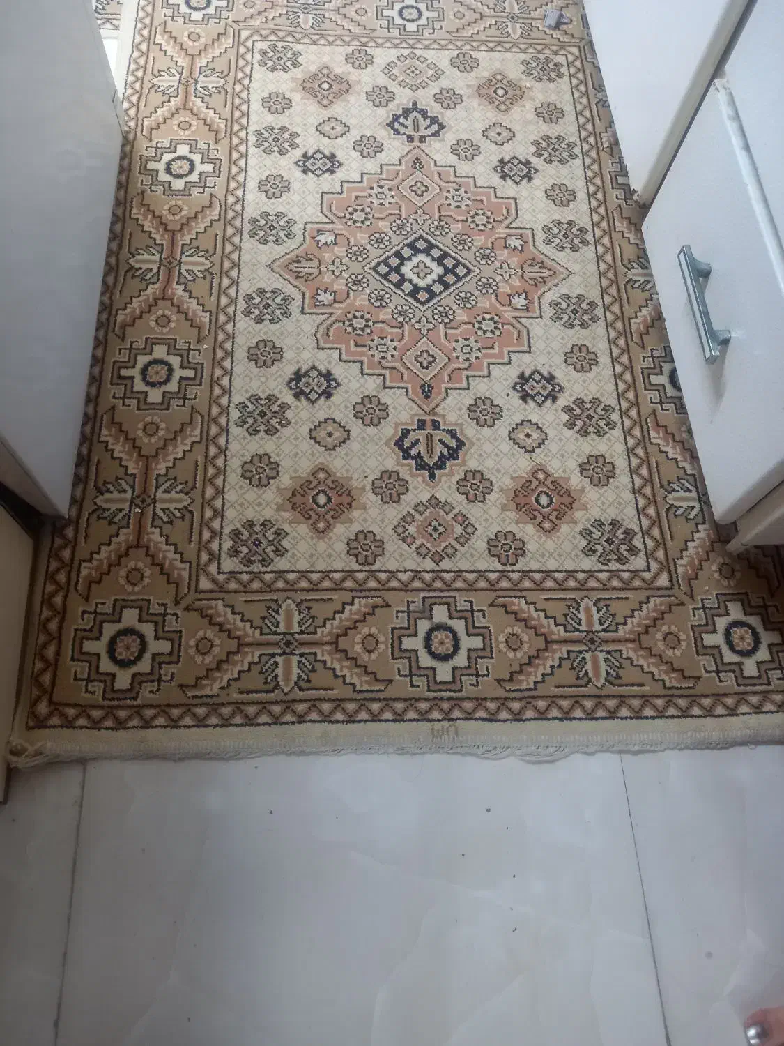 قالیچه وپرده|فرش|لنگرود, |دیوار