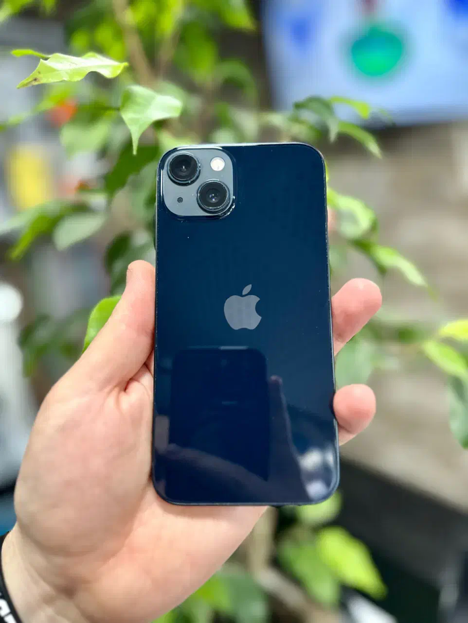 آیفون 13|موبایل|رشت, رودباری|دیوار