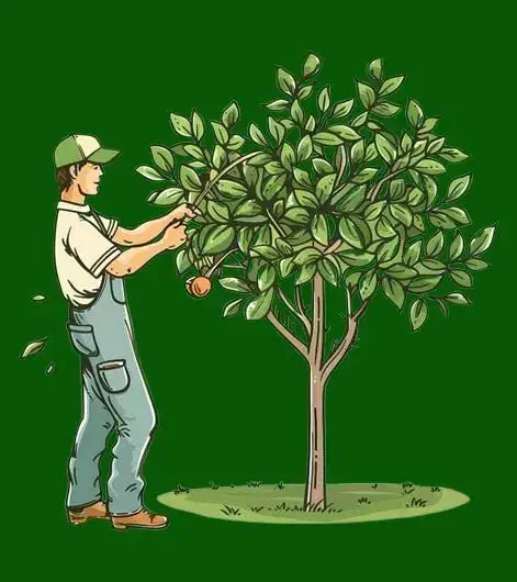 هرس‌کاری‌درختان‌و‌قطع‌درخت|خدمات باغبانی و درختکاری|خلخال, |دیوار