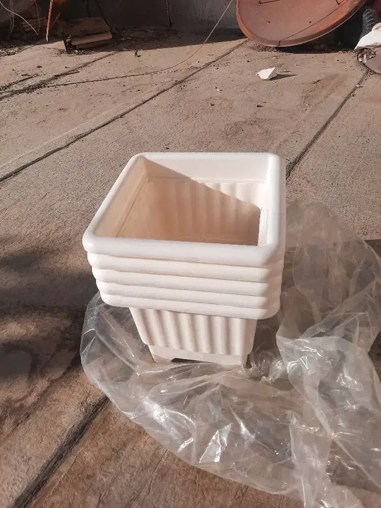 گلدون نو|گل و گیاه طبیعی|بومهن, |دیوار