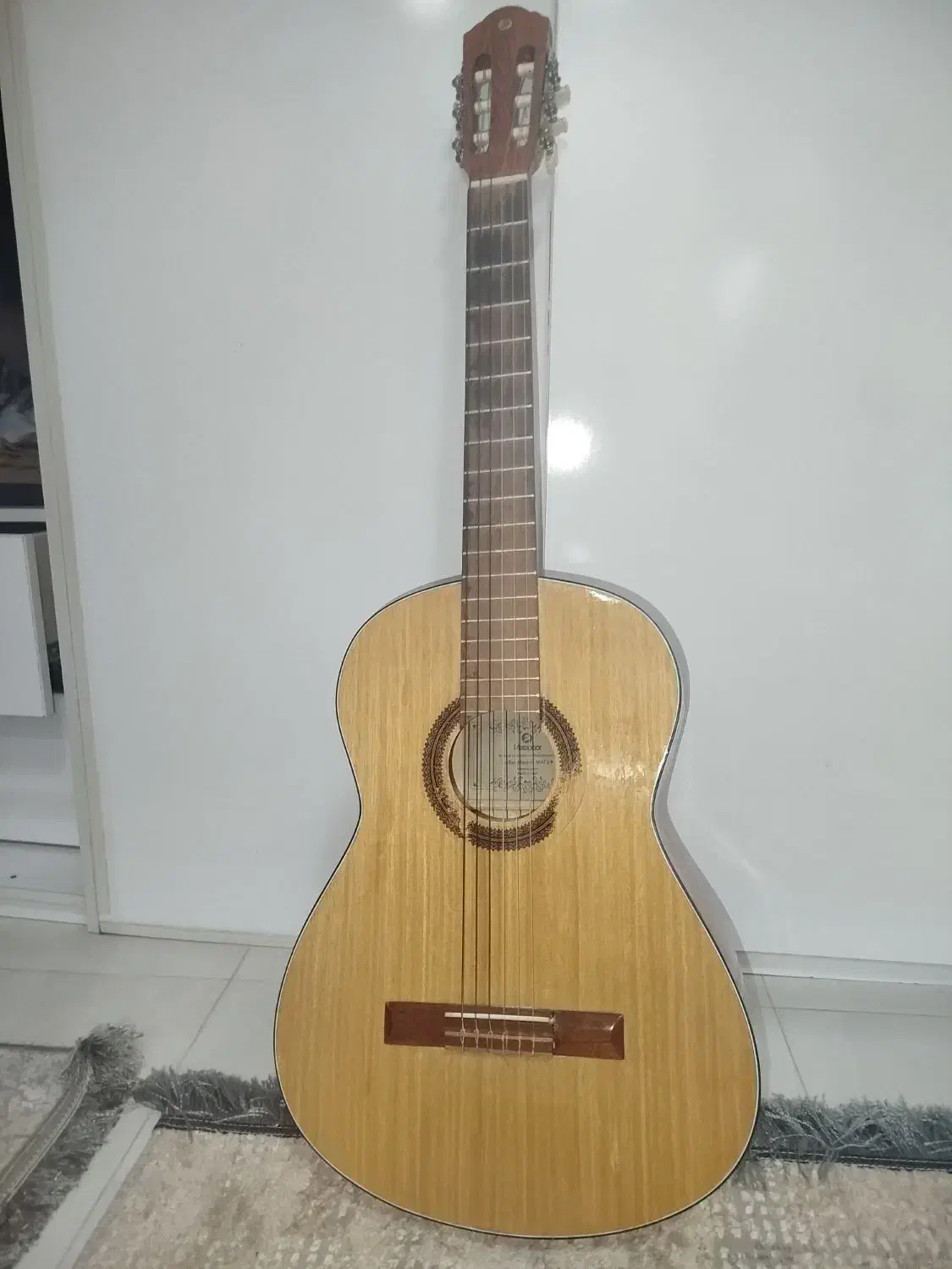 گیتار آموزشی|گیتار، بیس، امپلیفایر|بندر انزلی, آذربایجان|دیوار