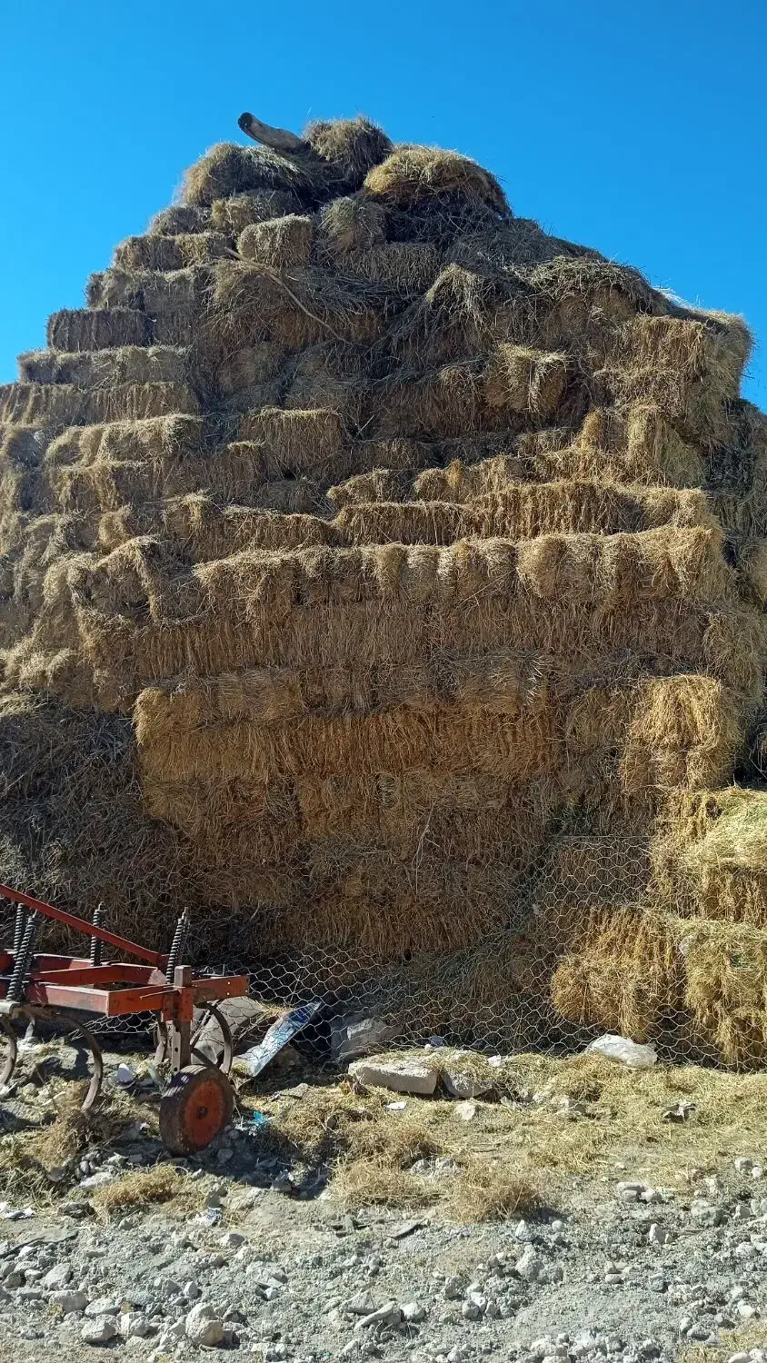 علوفه|لوازم جانبی حیوانات|نیر (اردبیل), |دیوار