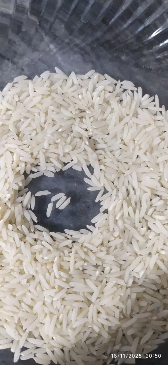 برنج خوشمزه|خوردنی و آشامیدنی|قم, ولیعصر|دیوار