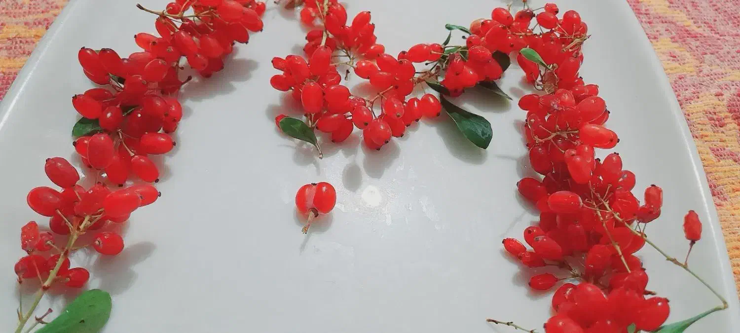 رب زارچ محلی (زرشک محلی) سربنان زرند|خوردنی و آشامیدنی|زرند, |دیوار