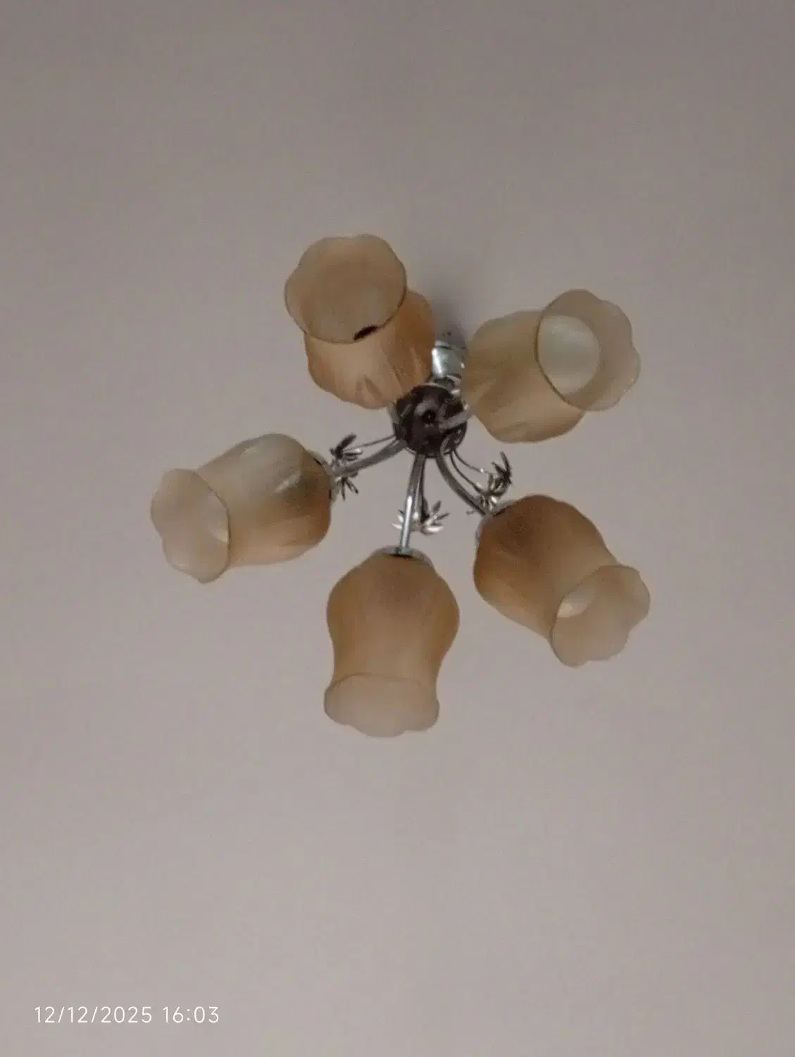 لوستر|لوستر و چراغ آویز|شاندیز, |دیوار