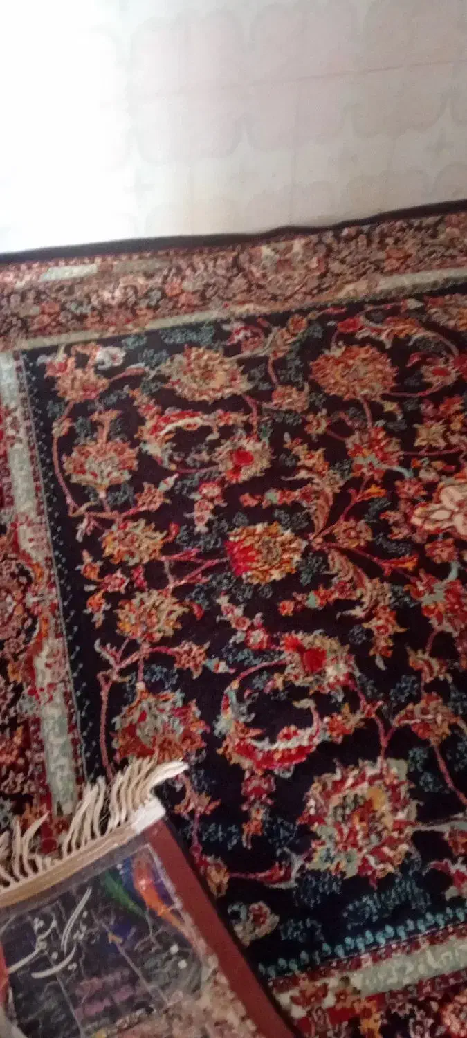 فرش پلاستیکی|فرش|سنندج, |دیوار