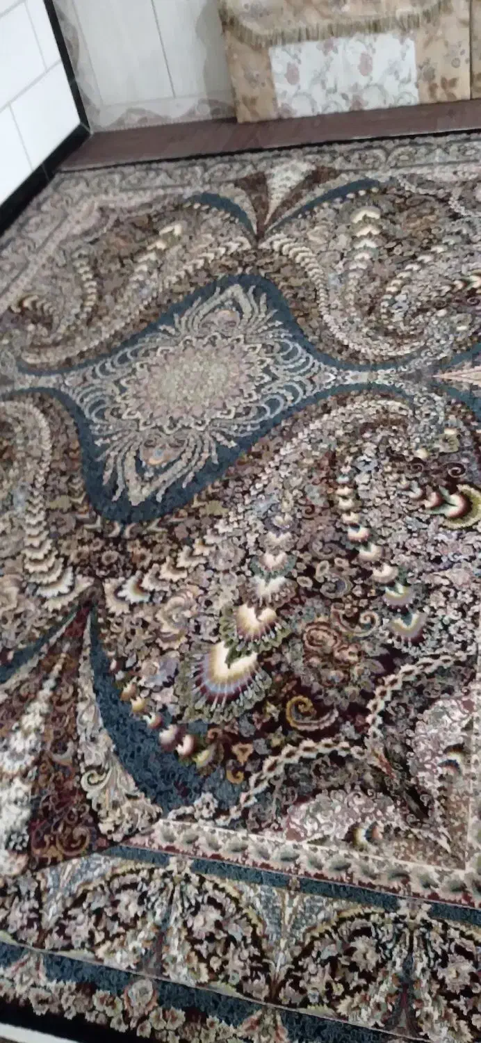 فرش|فرش|دالاهو, |دیوار