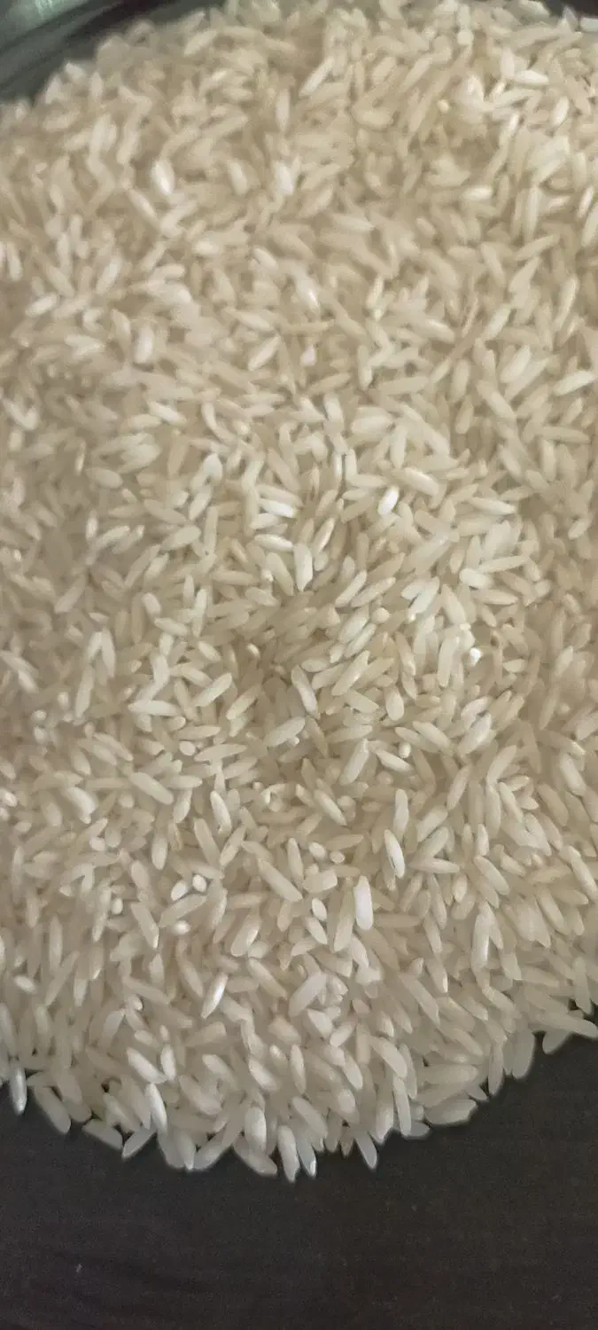 ۲۱۰ کیلو برنج فجر درجه یک|خوردنی و آشامیدنی|تالش, هشتپر|دیوار