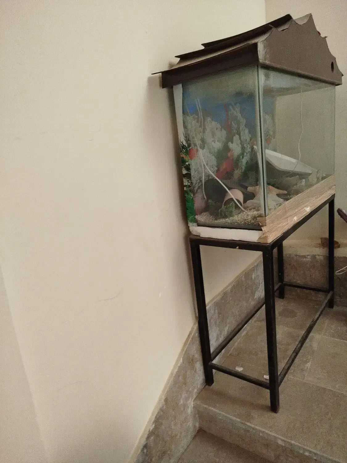 فروش آکواریوم|ماهی|حبیب آباد, |دیوار