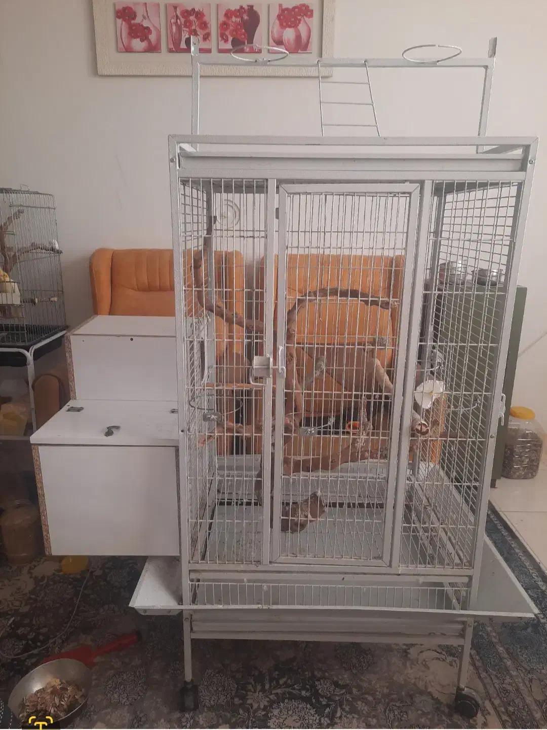 قفس پرنده . قفس بزرگ . قفس مسافرتی|لوازم جانبی حیوانات|رباطکریم, رباطکریم|دیوار