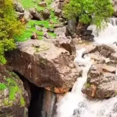 انجام و پیگیری امور اداری تا حصول نتیجه|خدمات رایانه‌ای و موبایل|کرمانشاه, |دیوار