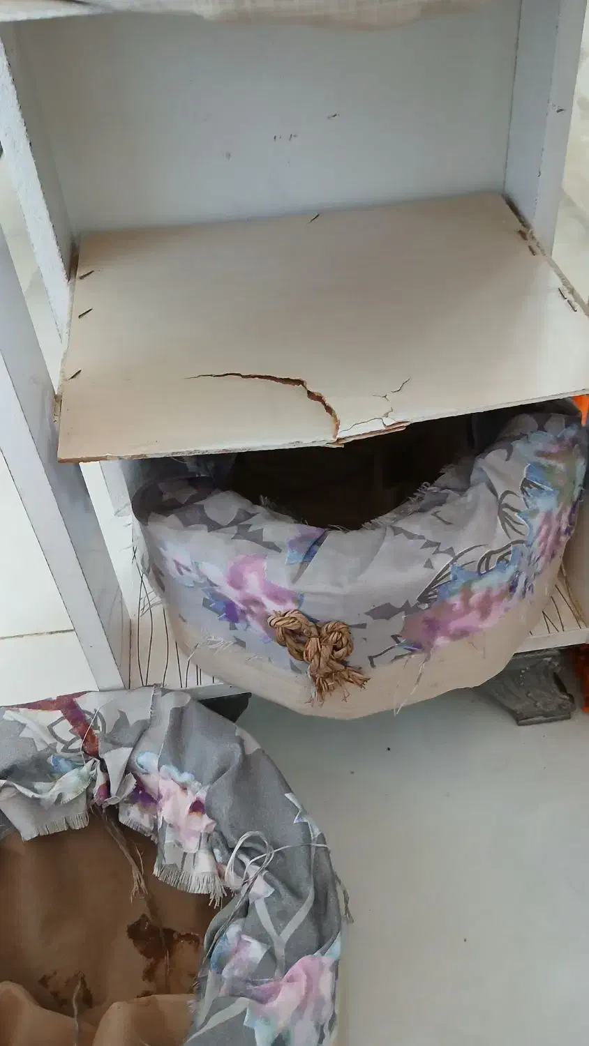 جا سیب زمینی پیاز|آب‌چکان و نظم‌دهنده ظروف|مشهد, هفت تیر (حافظ)|دیوار