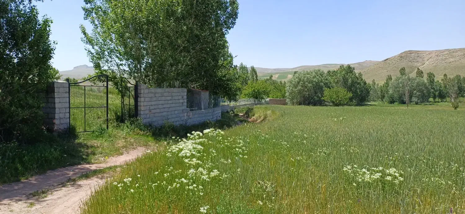 باغ بستان آباد|فروش زمین و ملک کلنگی|تیکمه داش, |دیوار