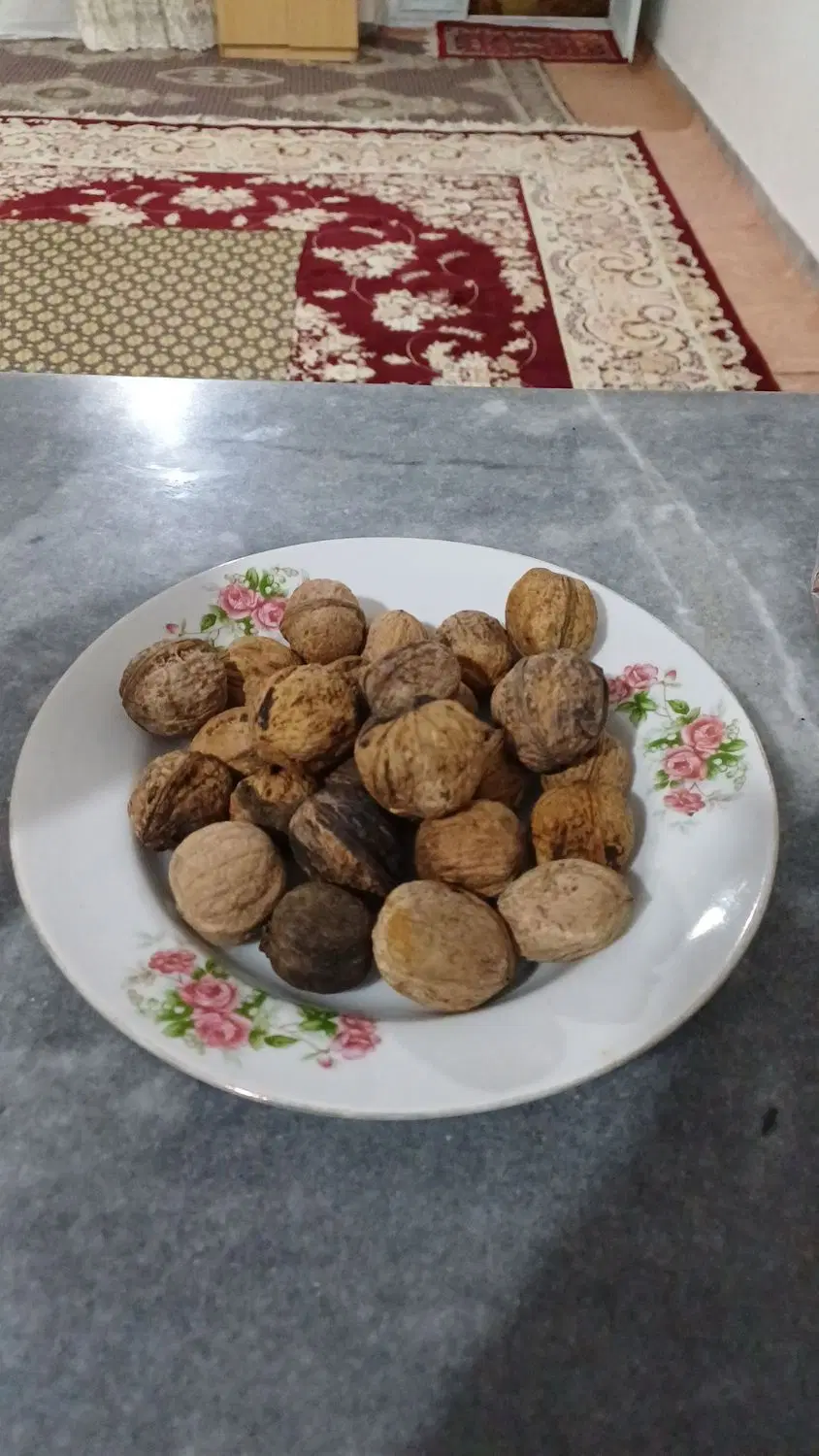 گردو|خوردنی و آشامیدنی|اسفراین, |دیوار