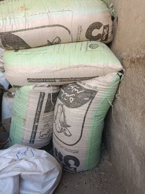 جو بذری گوهران|خدمات باغبانی و درختکاری|فیروزه, |دیوار