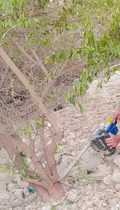 اره برقی|خدمات پیشه و مهارت|دوگنبدان, |دیوار