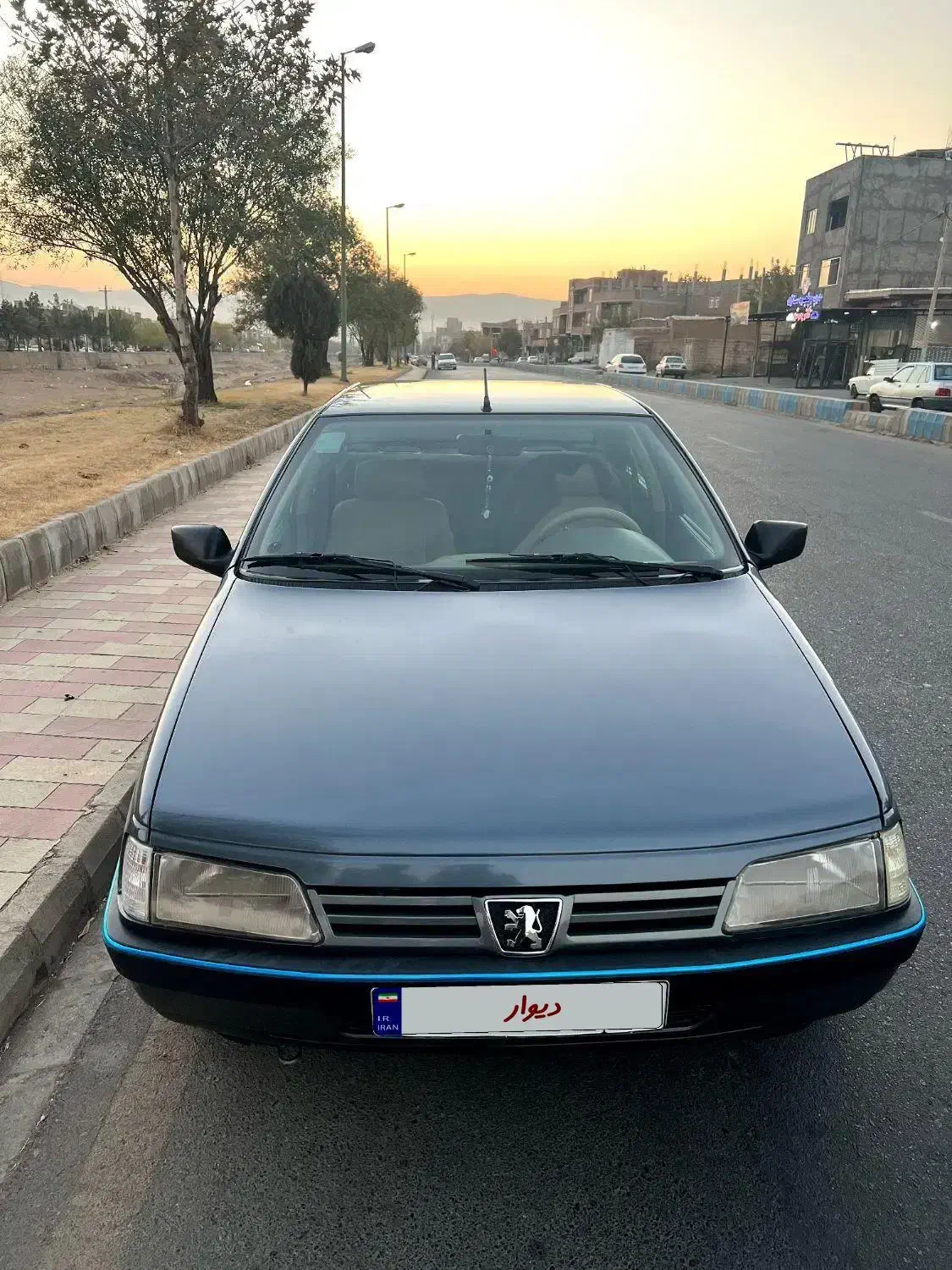 405 دلفینی|خودرو سواری و وانت|شاهین دژ, |دیوار