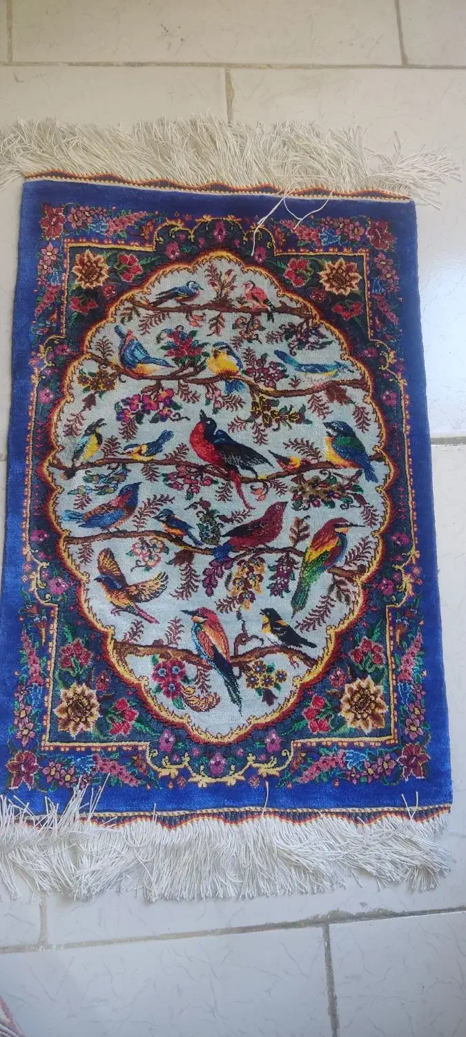 فرش تمام ابریشم|فرش|تهران, گلستان (شهرک راه آهن)|دیوار