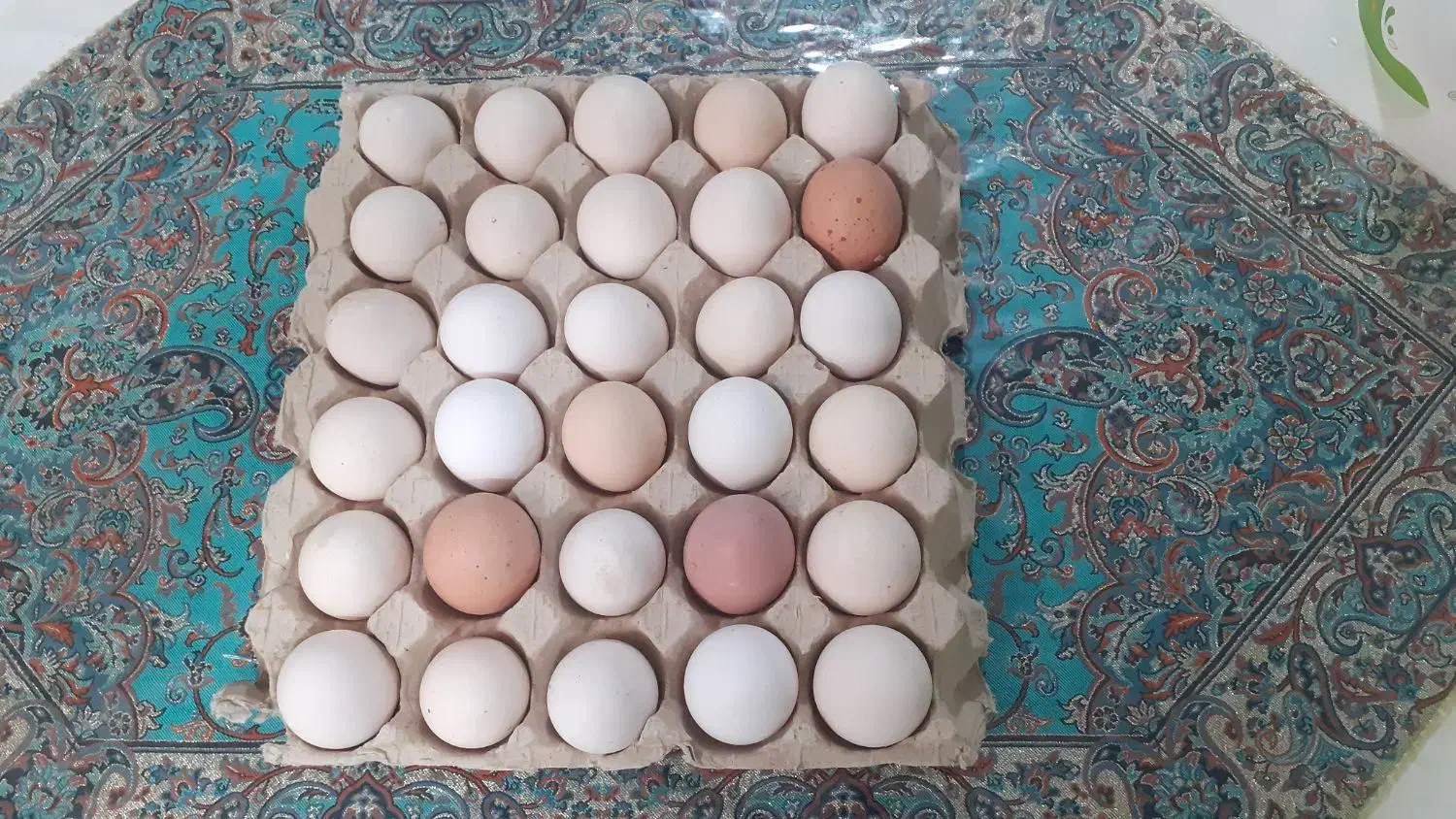 تخم مرغ ارگانیک|خوردنی و آشامیدنی|اصفهان, شاهد|دیوار