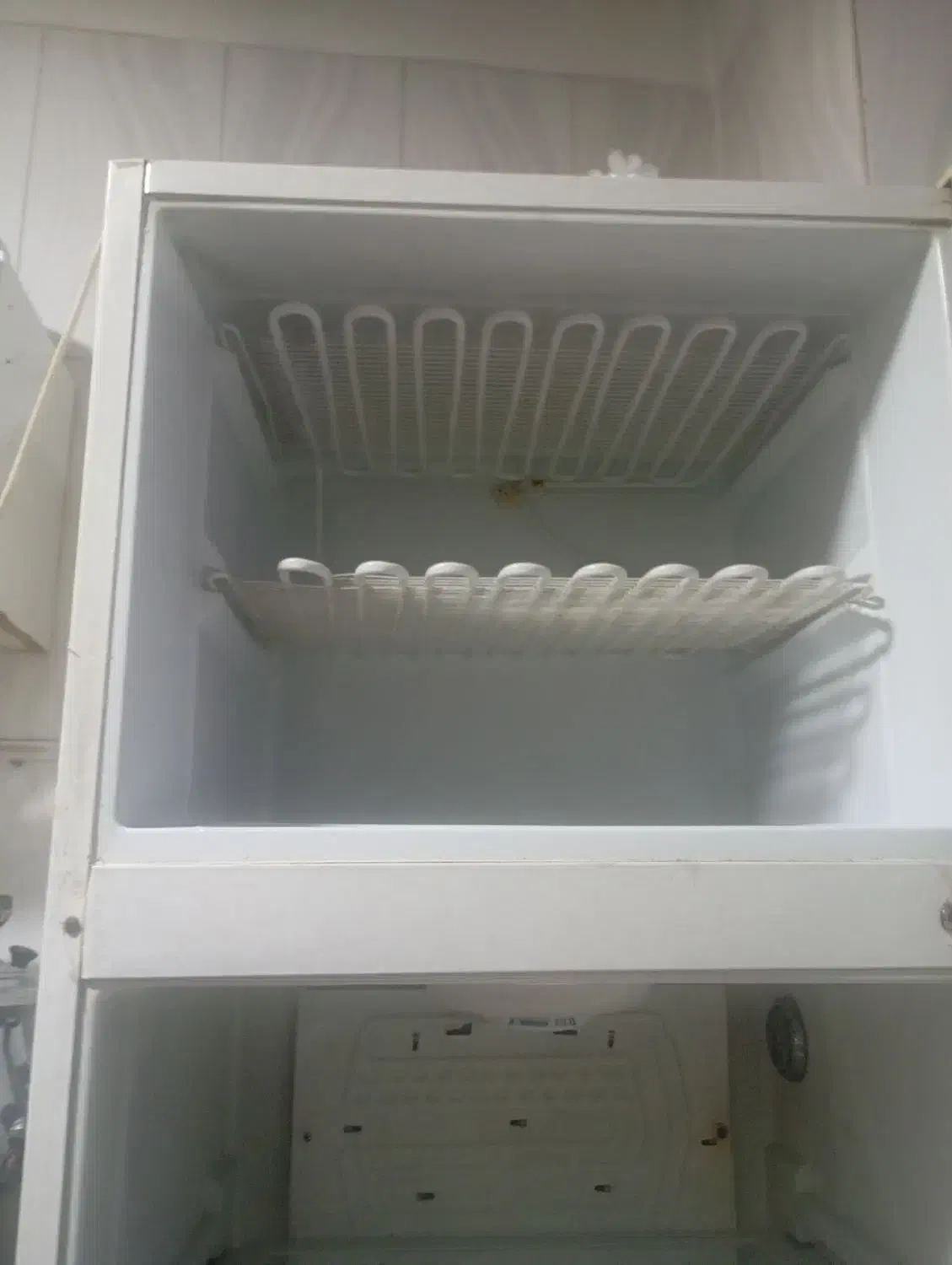 یخچال فریزر کارکرده|یخچال و فریزر|سرخه, |دیوار