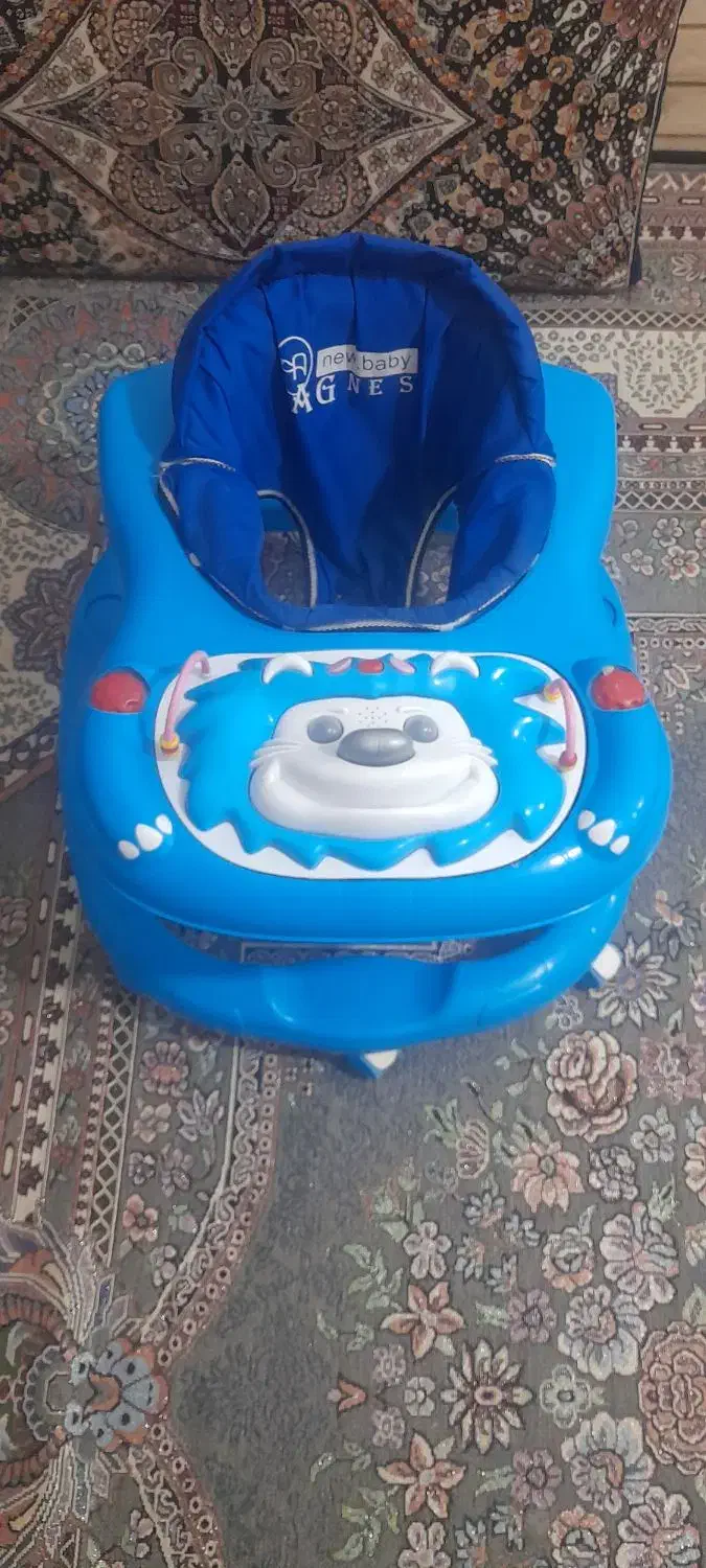 روروءک درحدنو|کالسکه و لوازم جانبی|تربت جام, میان جام|دیوار