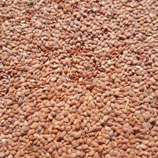 قدومه شیرازی|خوردنی و آشامیدنی|مرودشت, شهرک مهدیه|دیوار