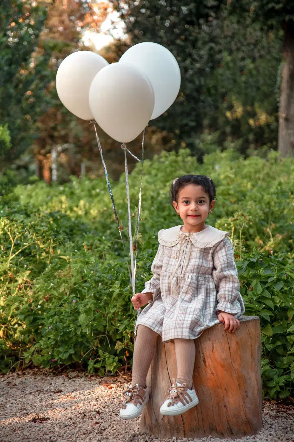 عکاسی فضای باز|خدمات پذیرایی، مراسم|یزد, |دیوار