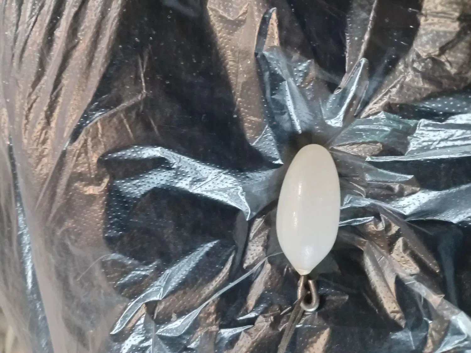 سنگ و جواهر|جواهرات|شیروان (خراسان), |دیوار