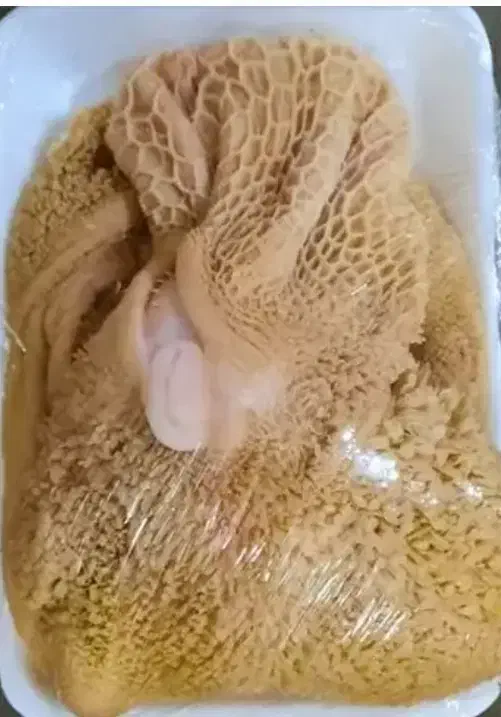 گوسفند|حیوانات مزرعه|دورود, |دیوار