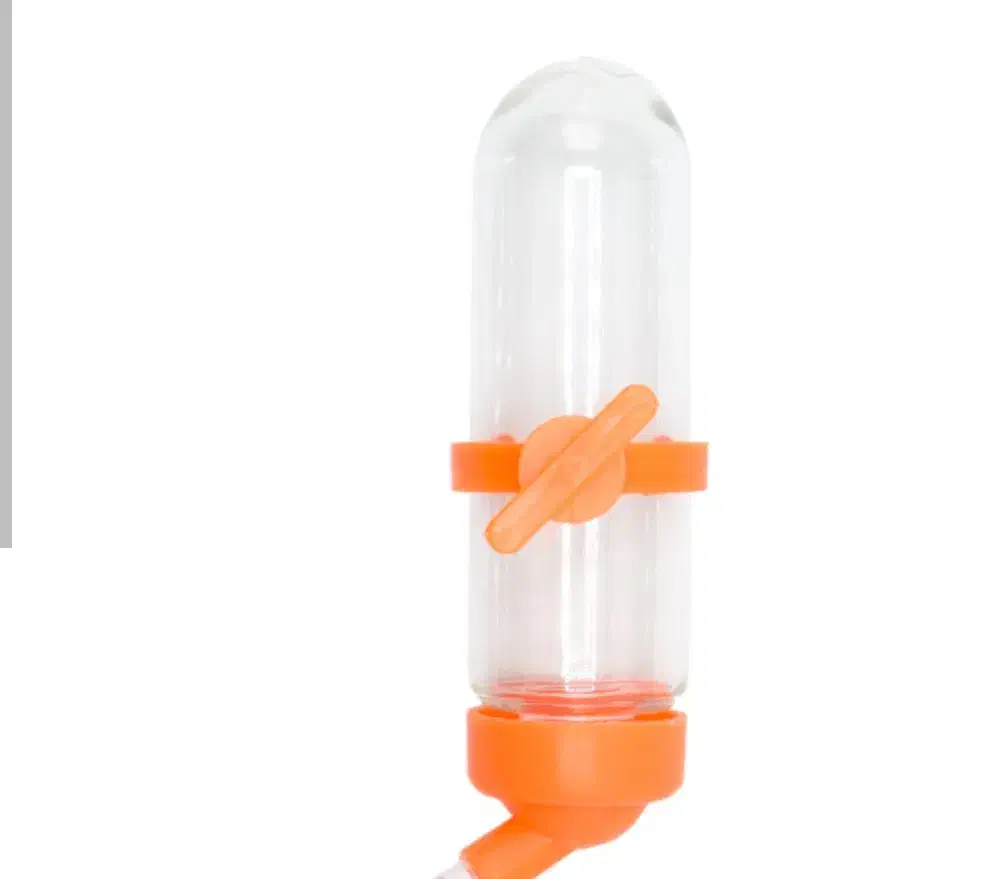 لوازم سنجاب|لوازم جانبی حیوانات|تهران, دارآباد|دیوار