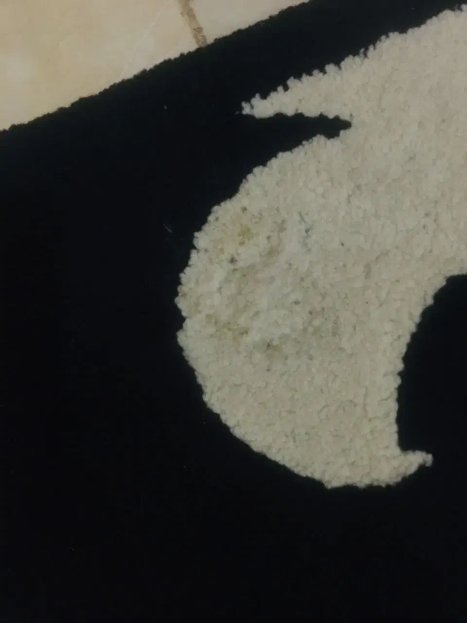 دو تخته فرش|فرش|رشت, نخودچر|دیوار