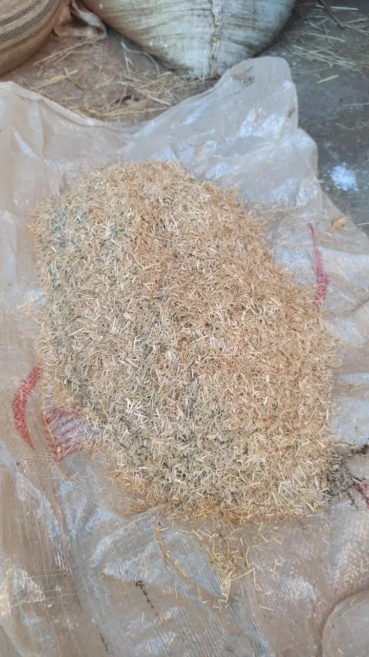 کاه خارشتر|لوازم جانبی حیوانات|گنبد کاووس, |دیوار