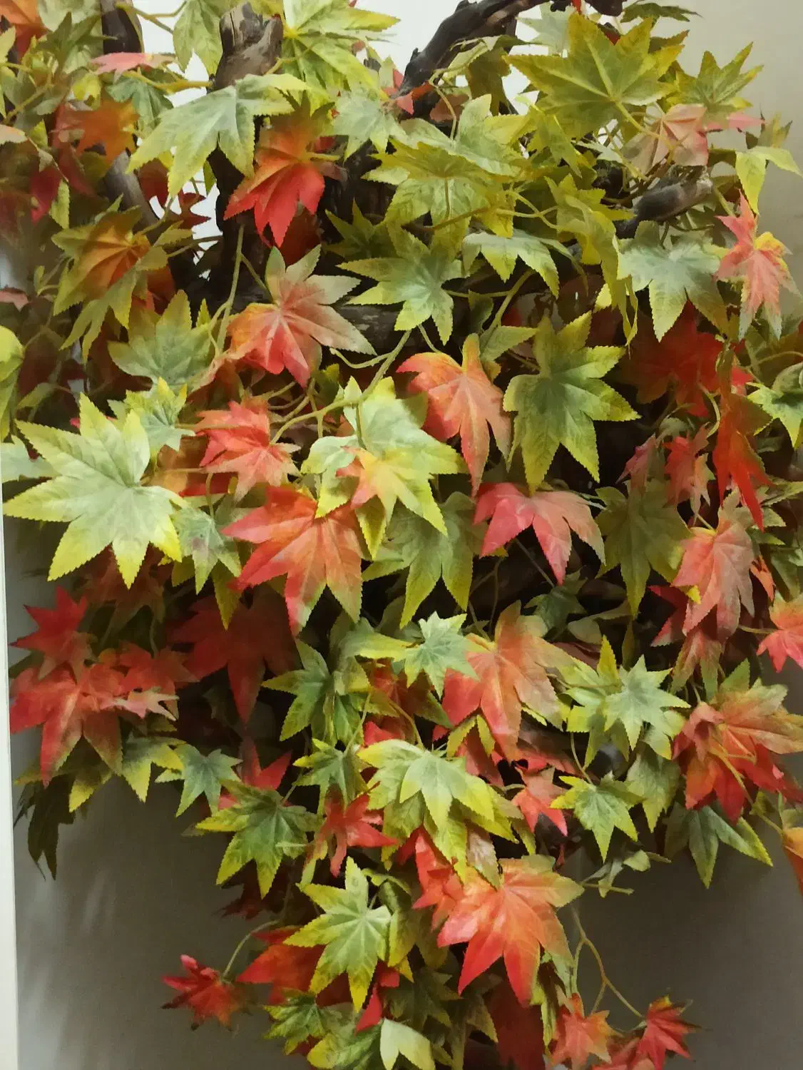 شش تا کناره|گل مصنوعی|زاهدان, |دیوار