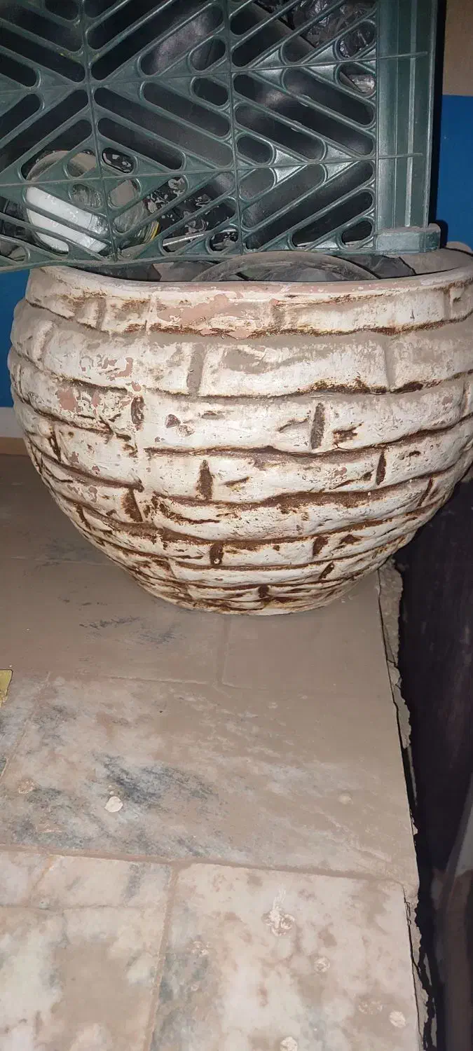 گلدان سفالی بزرگ|گل و گیاه طبیعی|تربت جام, شاد|دیوار
