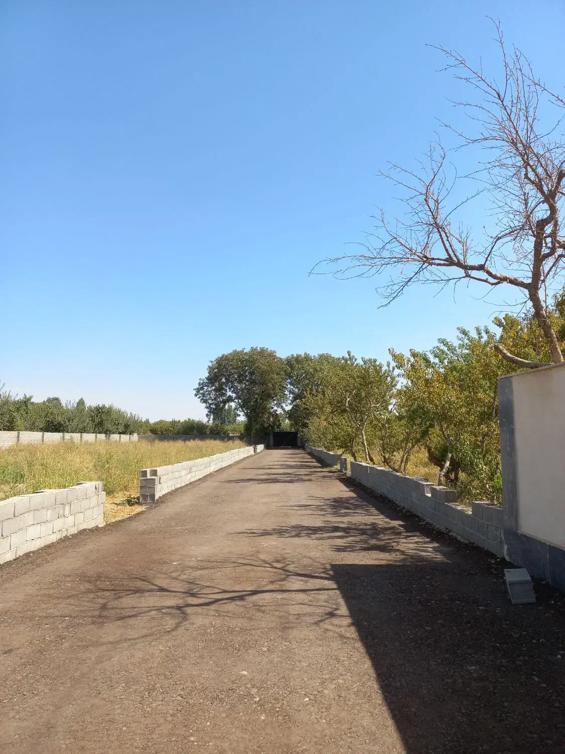 زمین /شهرکی /چهاردیواری ۶۰۰م  تهراندشت /سرخاب|فروش زمین و ملک کلنگی|هشتگرد, تهران دشت|دیوار