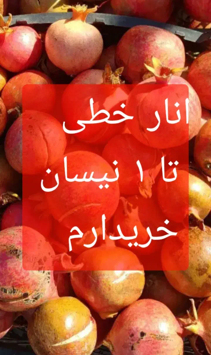انار  خطی|خوردنی و آشامیدنی|جعفرآباد, |دیوار