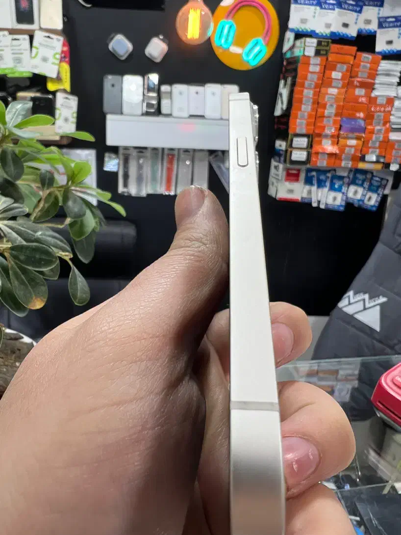 آیفون 13 نرمال|موبایل|کرج, کوی امامیه|دیوار