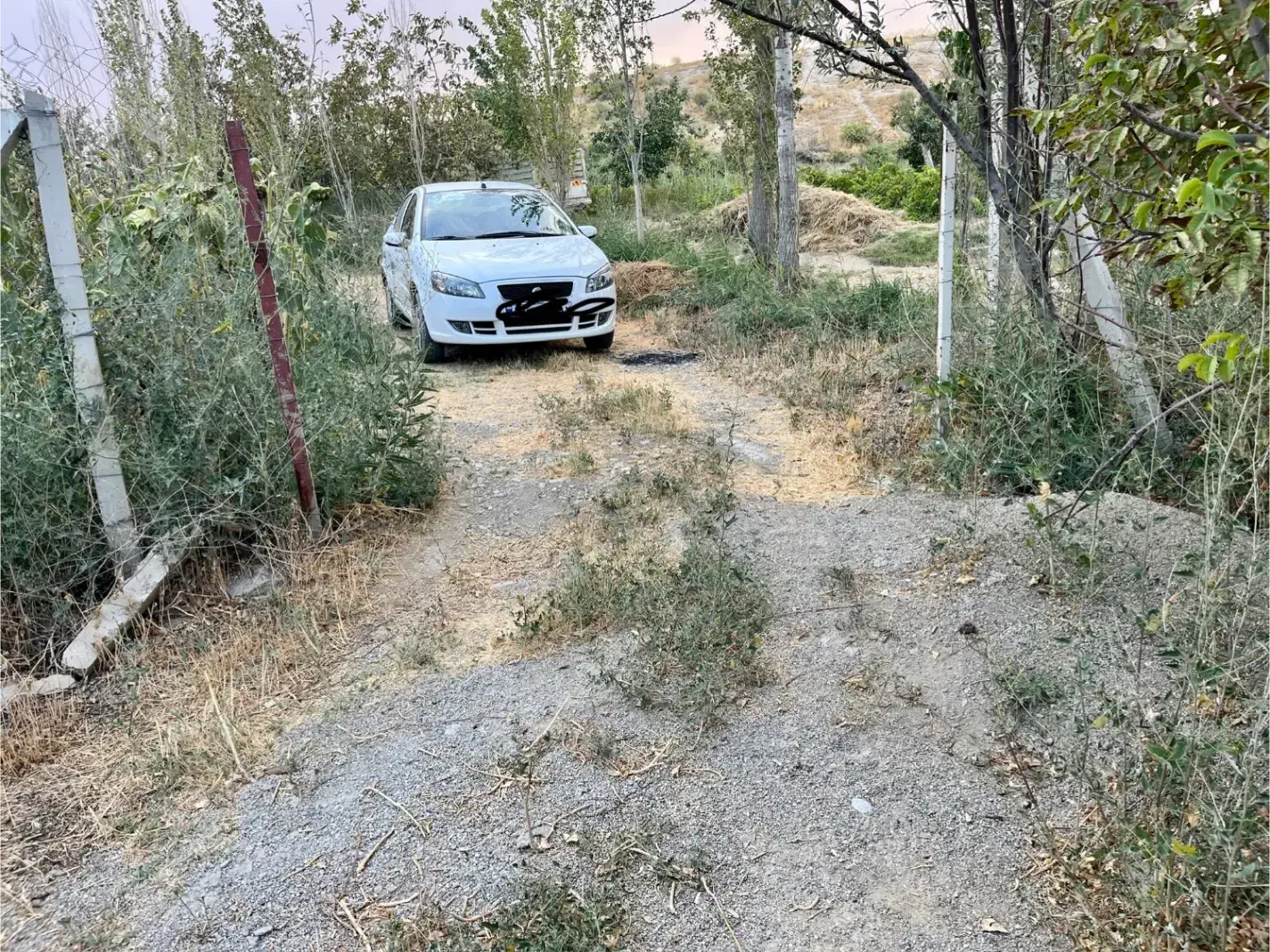 باغ ۱۵۰۰ متر در روستای چناقلو|فروش زمین و ملک کلنگی|نوشین شهر, |دیوار