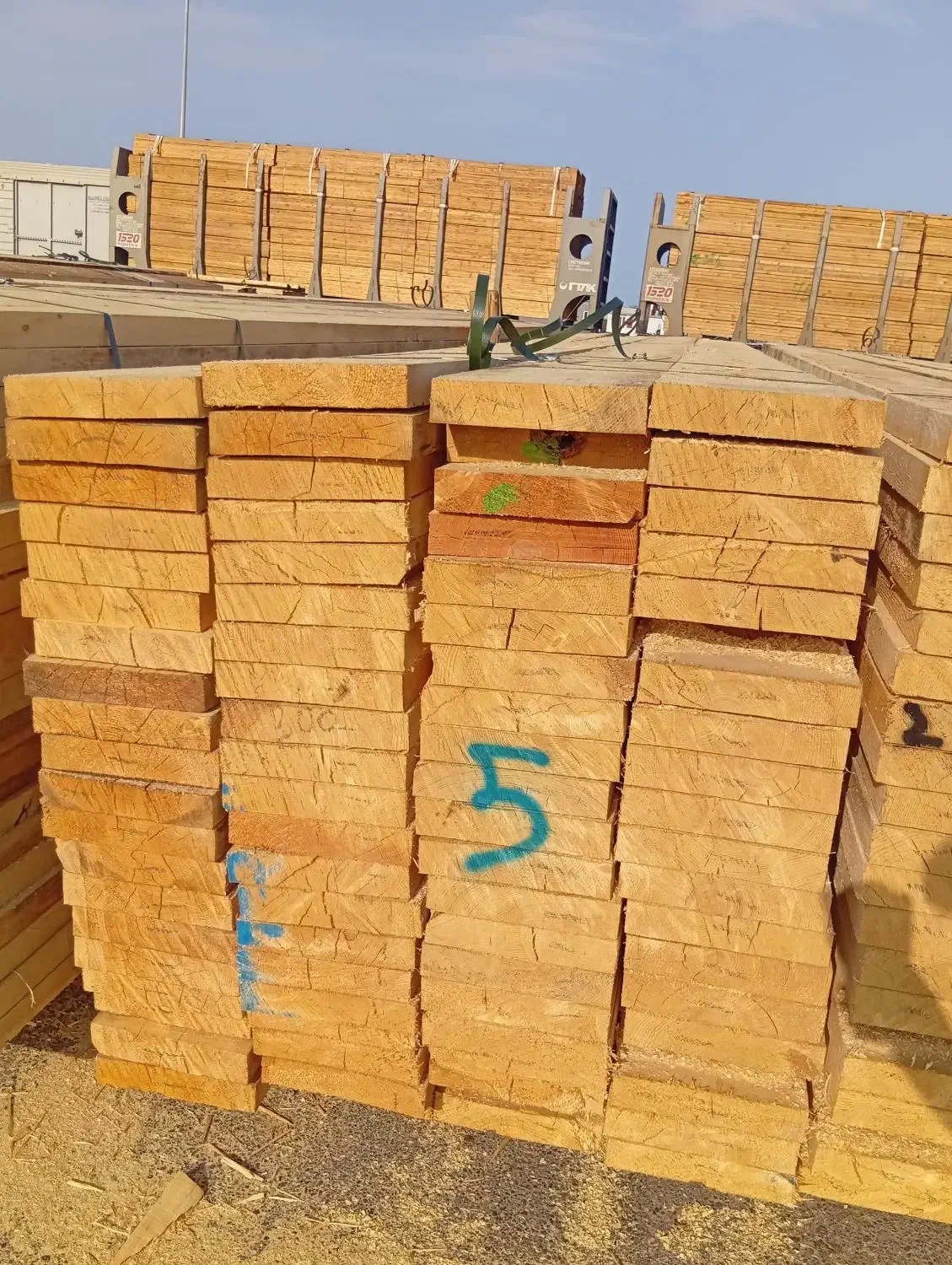 فروش مستقیم **چوب روسی|عمده‌فروشی|چهاردانگه (تهران), |دیوار