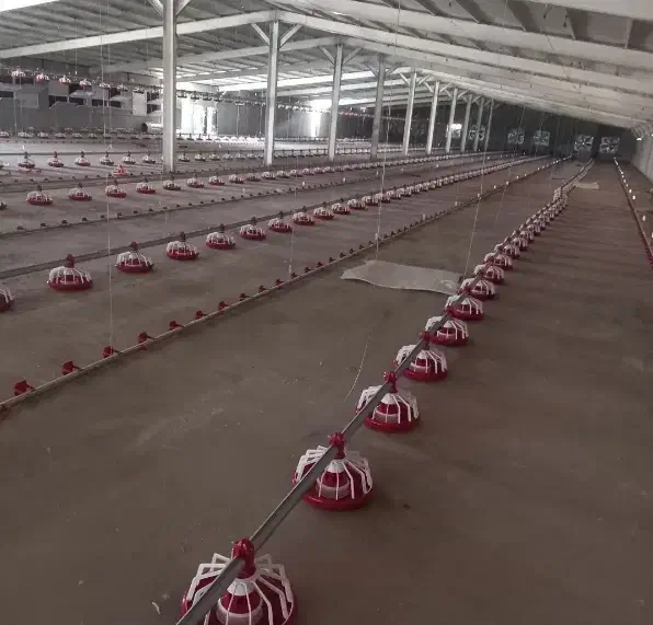 صفرتاصد لوازم و نصب مرغداری گوشتی|ماشینآلات صنعتی|الشتر, |دیوار