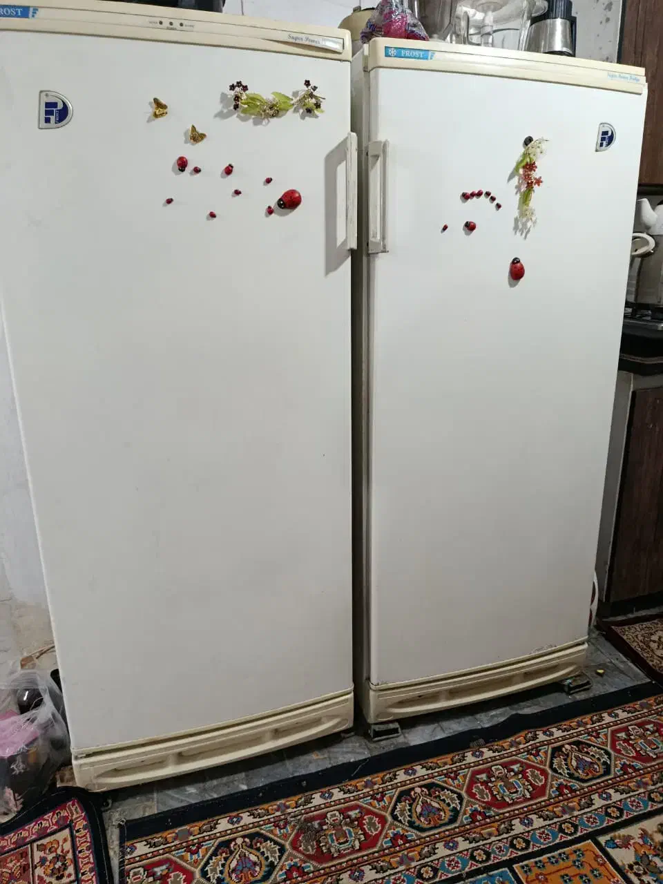 یخچال ۲ قلو مدلforst|یخچال و فریزر|خاوران, |دیوار