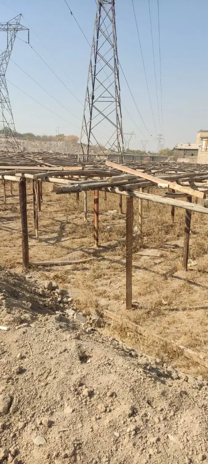 فروش چند جریب چوب گلخانه (توافقی)|عمدهفروشی|اصفهان, شفق|دیوار