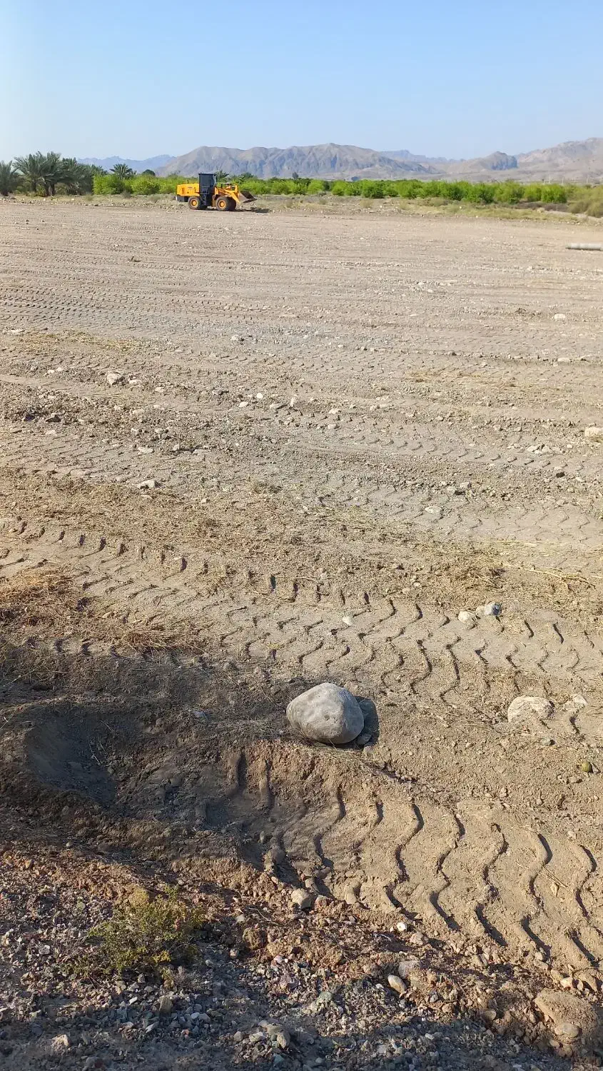 زمین باغی کشاورزی رودان برنطین دشت صفا قیمت ازشما|فروش دفتر صنعتی، کشاورزی، تجاری|جغین, |دیوار