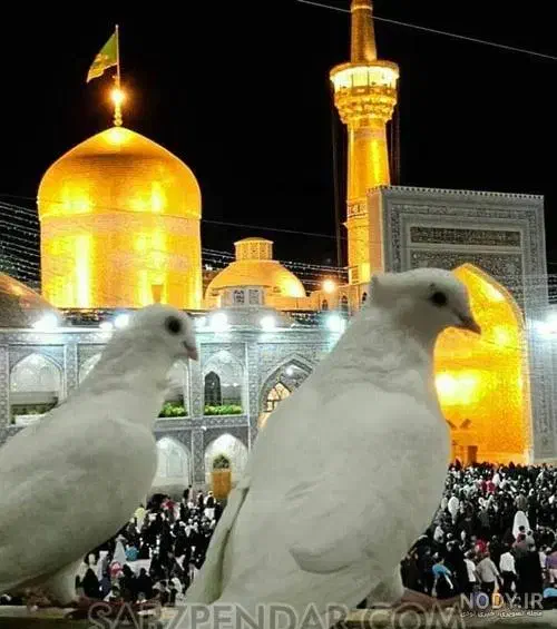 کاروان زیارتی مشهد مقدس ۷آبان و۱۸آبان|تور و چارتر|زابل, |دیوار