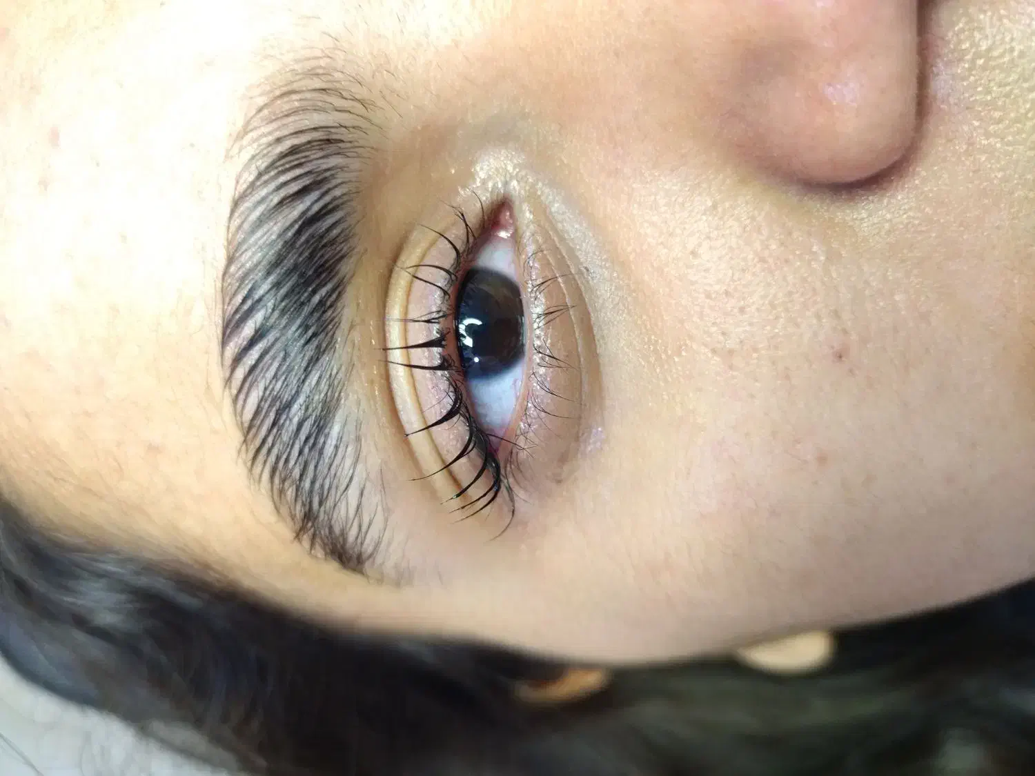 آموزش لیفت و لمینت مژه و ابرو و اکستنشن مژه|خدمات آموزشی|قائم‌شهر, |دیوار