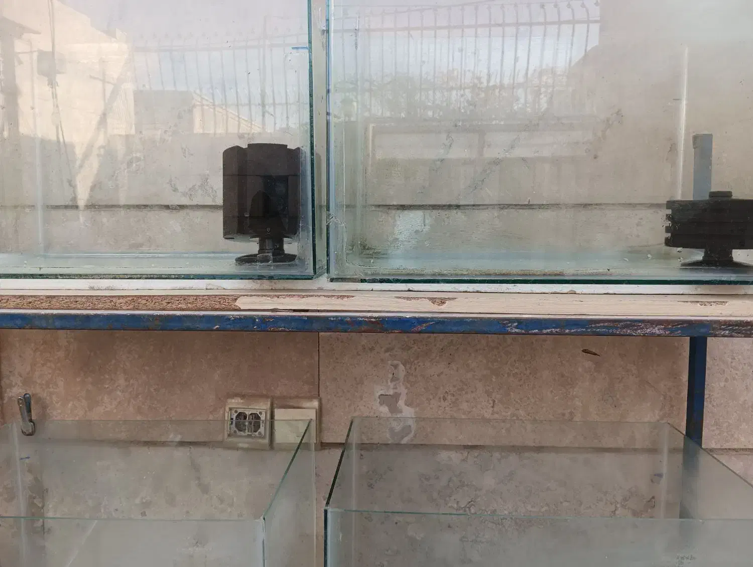 آکواریوم وپایه|ماهی|برخوار, |دیوار