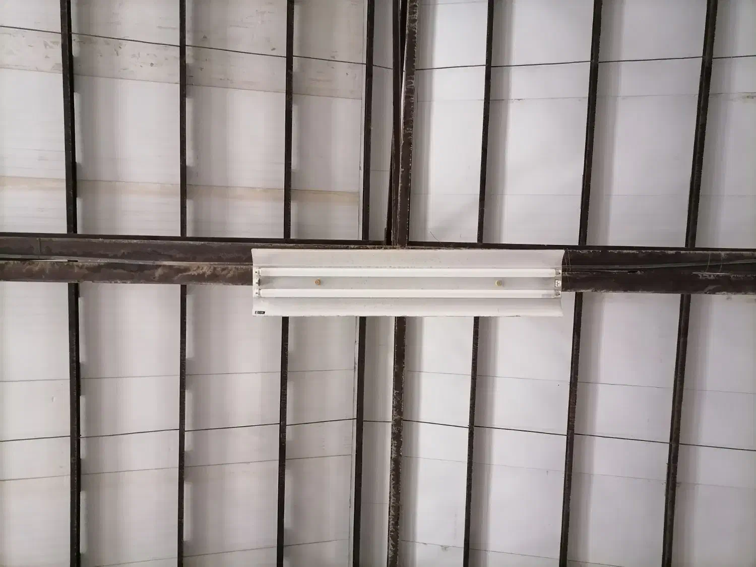 لامپ مهتابی|لامپ و چراغ|فردوس (خراسان), |دیوار