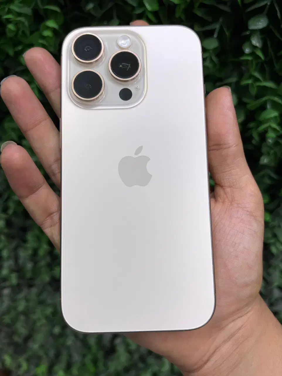 16 pro|موبایل|قشم, |دیوار