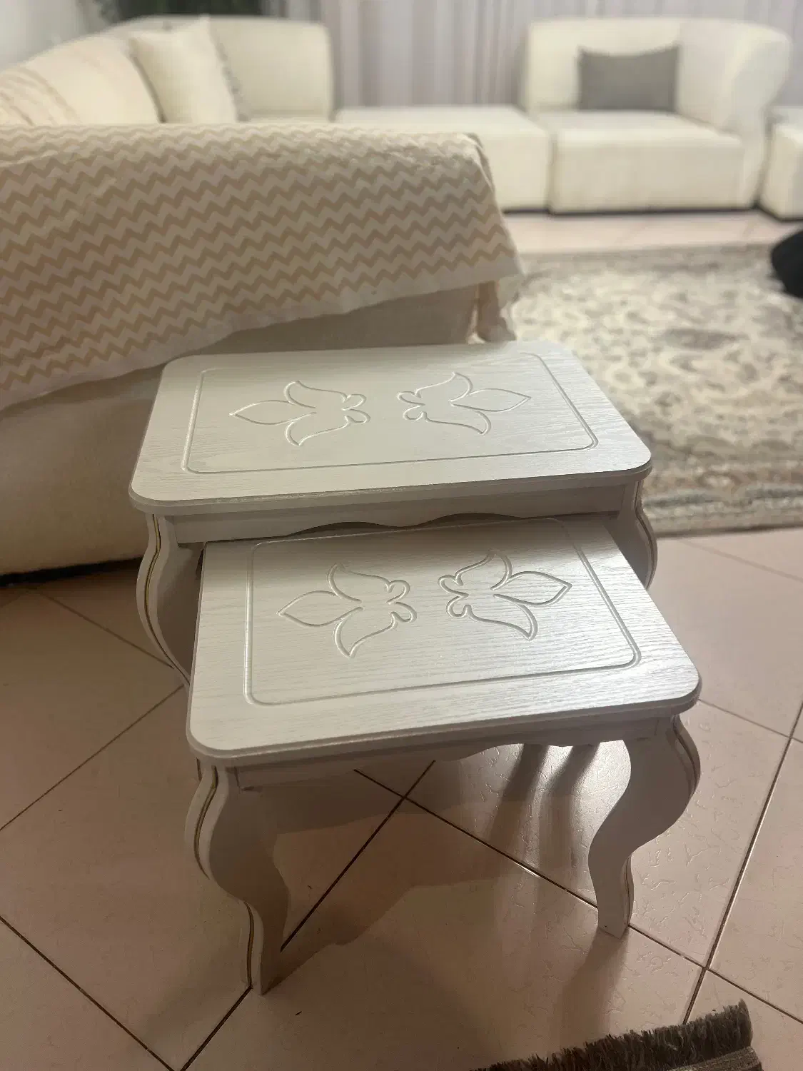 میز جلو مبلی|مبلمان خانگی و میز عسلی|رشت, کاکتوس|دیوار