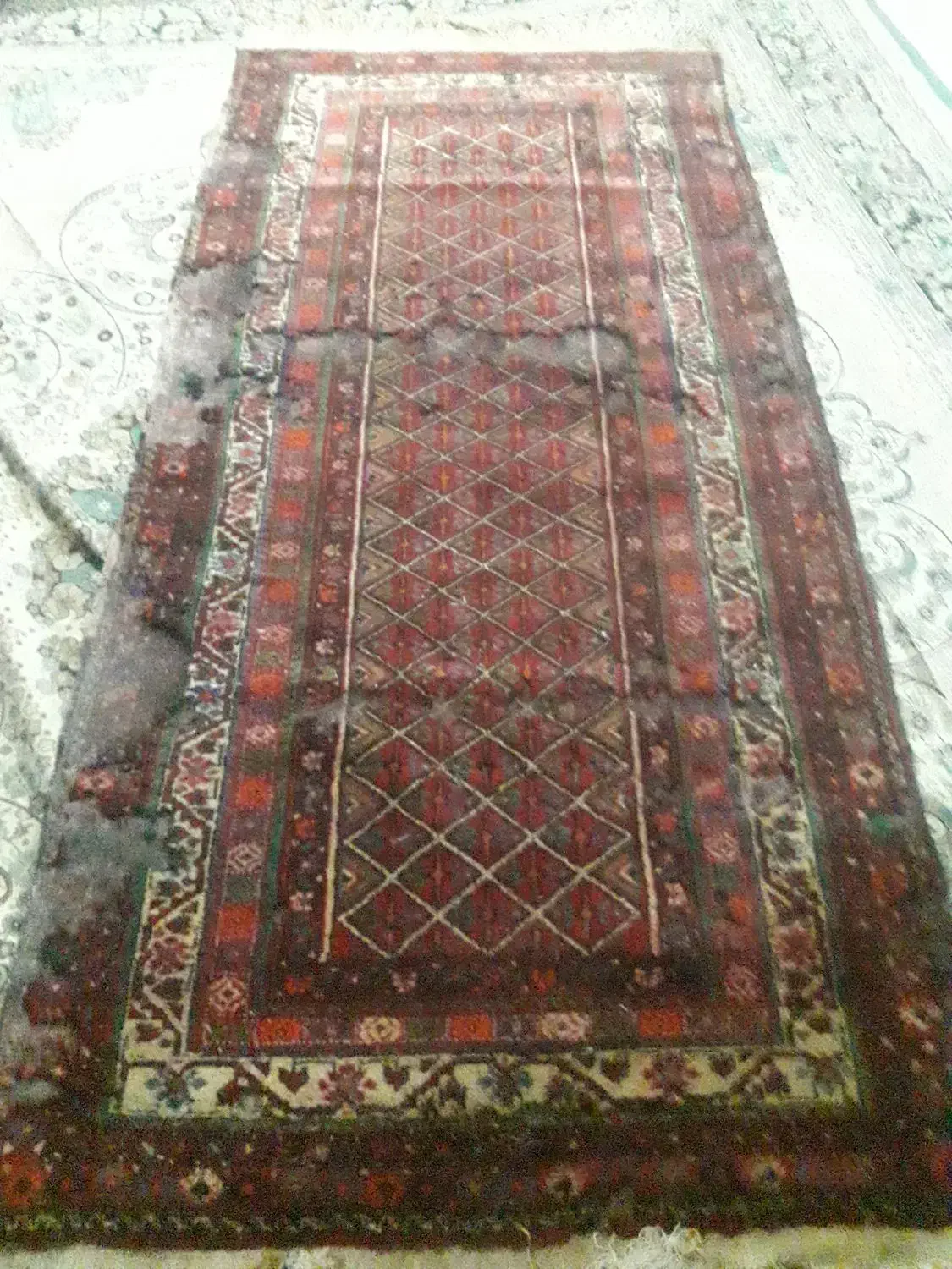 قالی فرش دستباف قدیمی|فرش|مشهد, حجاب (شهرک غرب)|دیوار